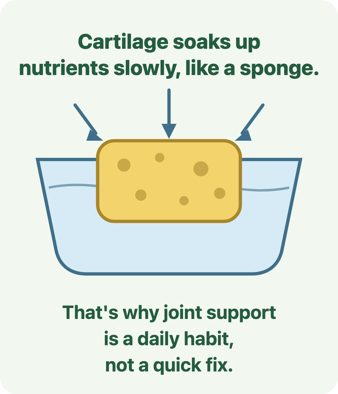 Cartilage soaks up nutrients slowly, like a sponge
