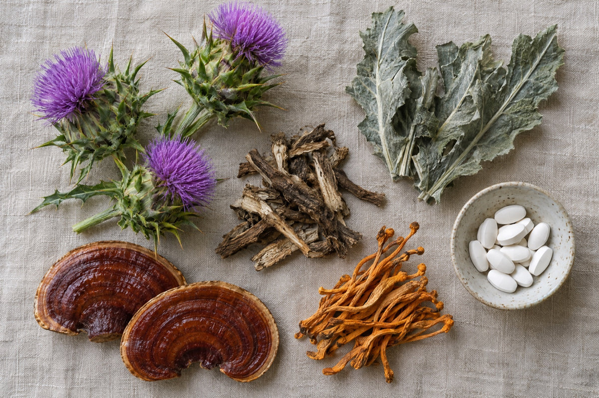 Milk thistle, reishi and cordyceps mushrooms and dried botanicals on linen
